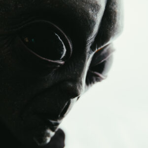 Alien's dmv