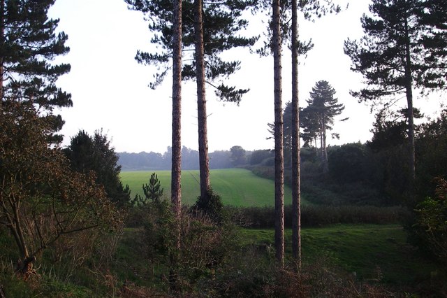 the landing site of the UFO in Rendlesham Forest